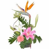 ຼʻٵ
